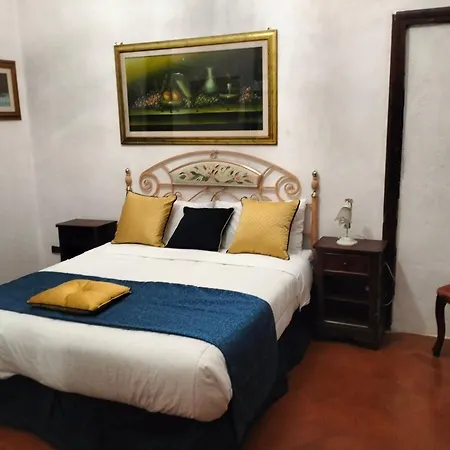 Palace Comfort Pisa