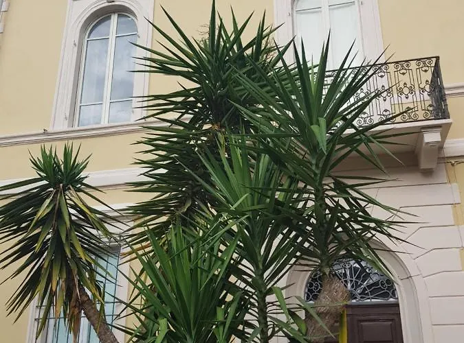 Palace Comfort Casa vacanze